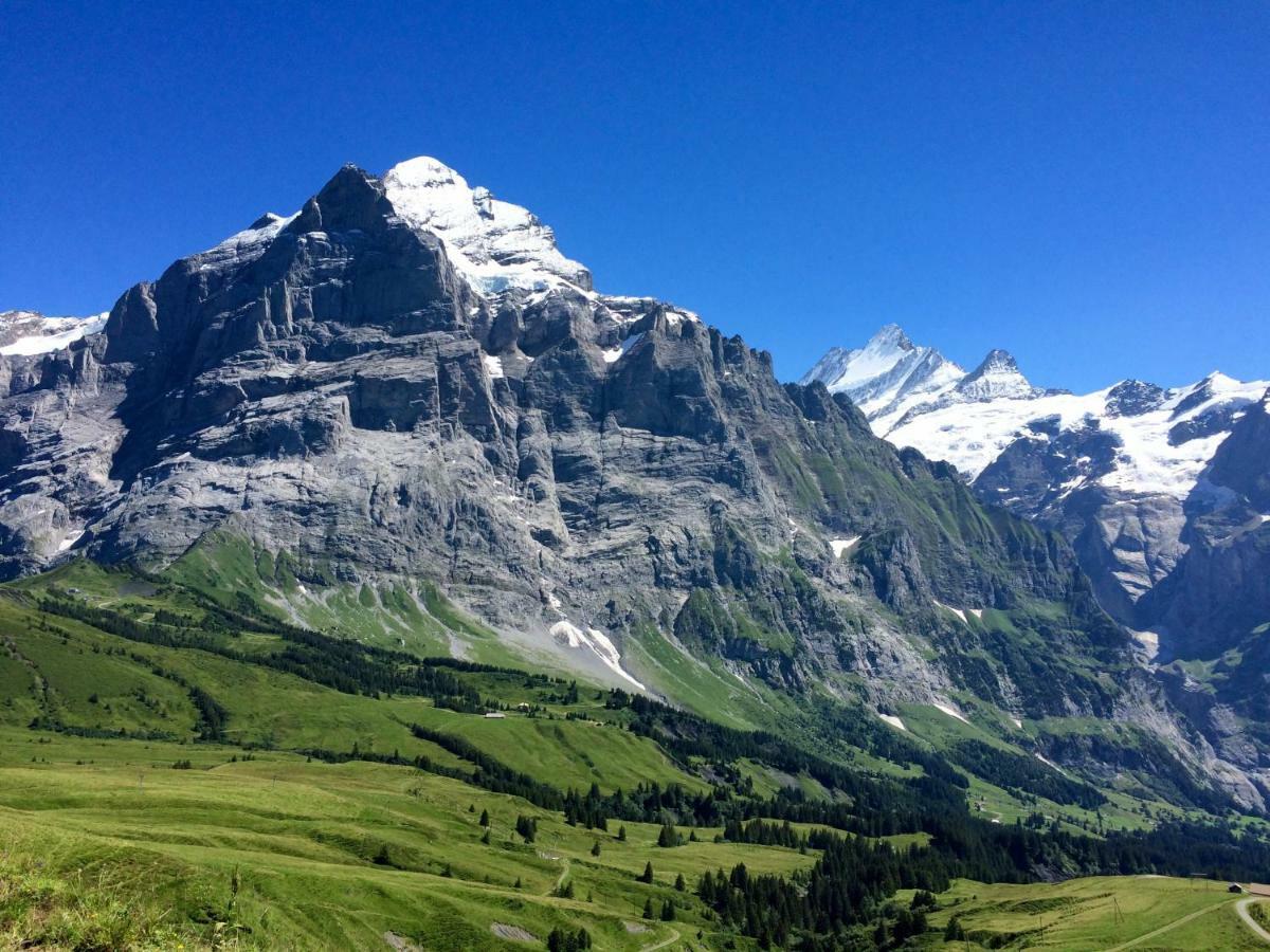 Apartmán Wetterhorn, Eiger, Jungfrau, Amazing! Grindelwald Exteriér fotografie